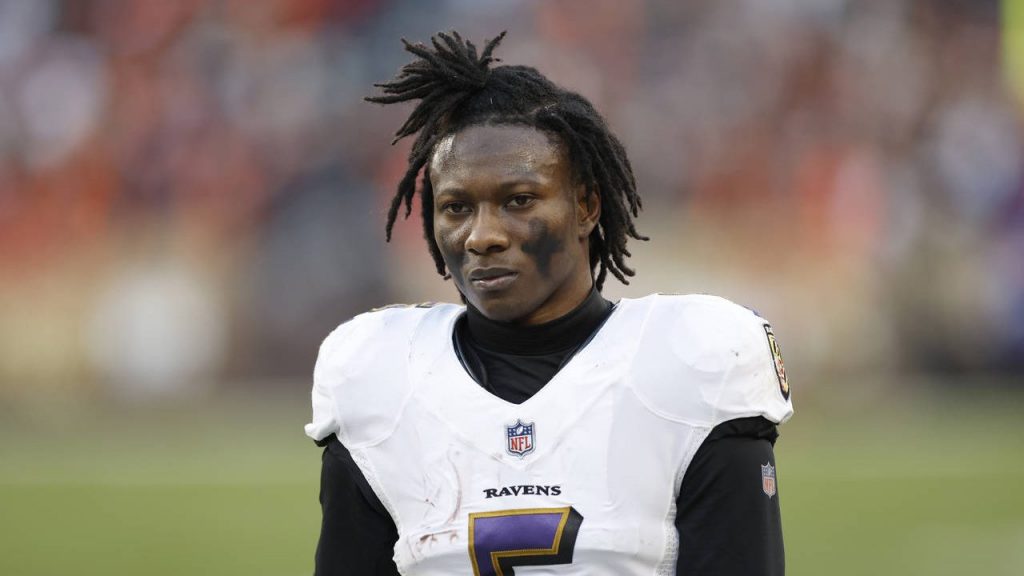 Marquise Brown Arizona Cardinals