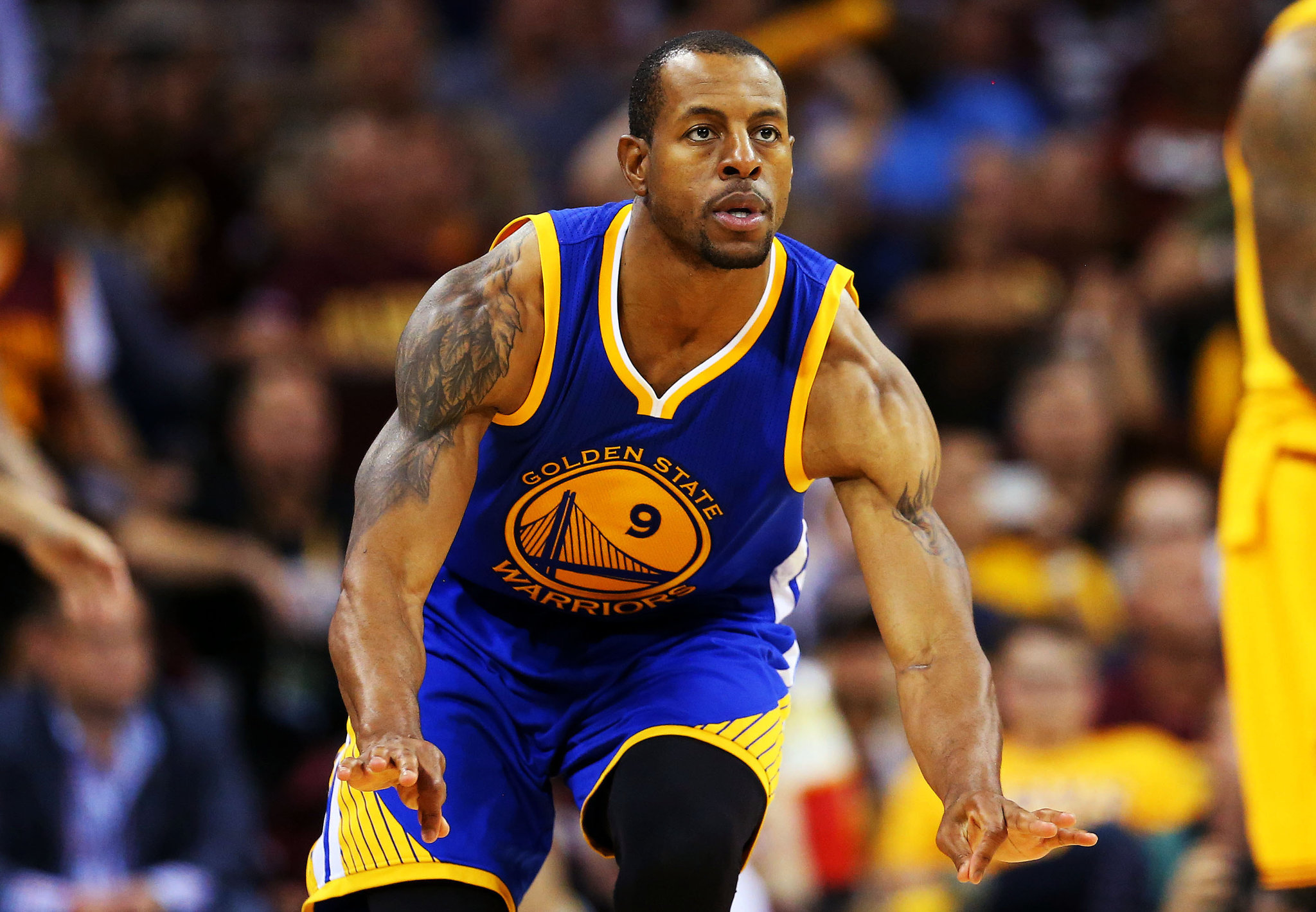 Andre Iguodala 