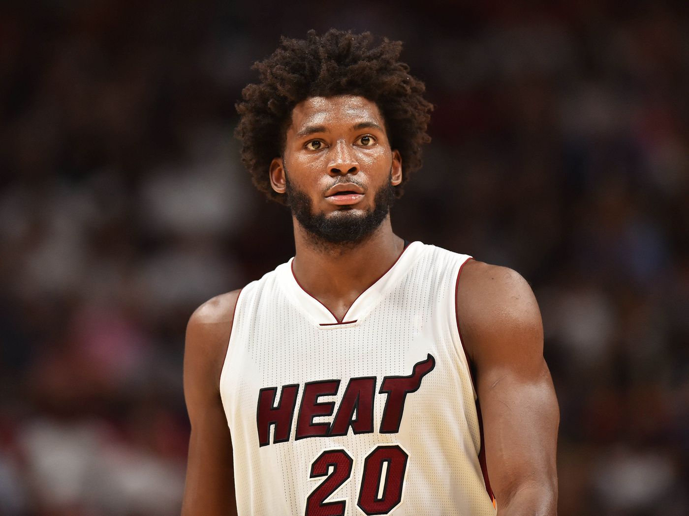 SIX STANDOUT ROAD BIKES Road Bike Action atelieryuwa.ciao.jp