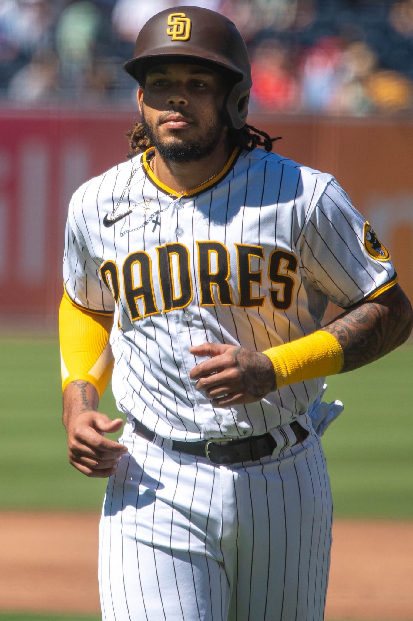 Who is Padres Luis Campusano? His Relationship, Parents, Salary, Net