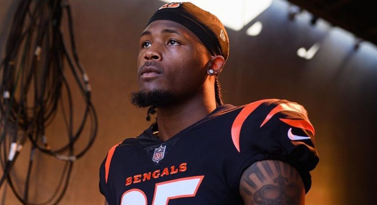 Tee Higgins